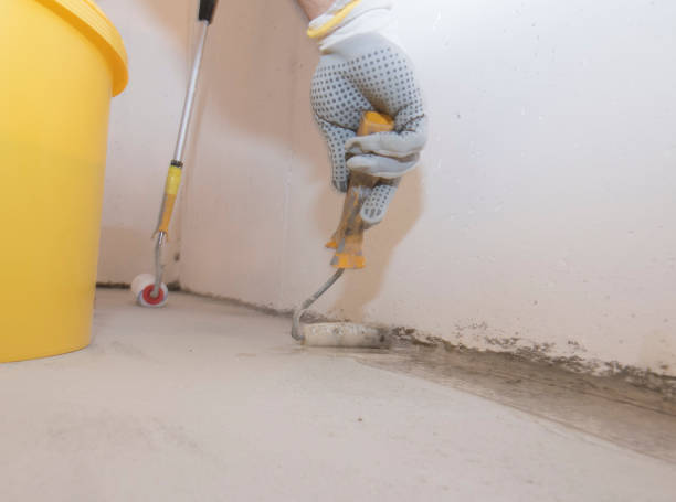 Best Fumigation Services  in Red Cloud, NE